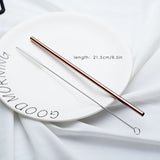 Stainless Steel Straw with Brush